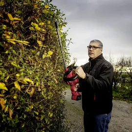 Flex GHT 55 18-EC 55 cm inkl. 2 x 5,0 Ah + Ladegerät