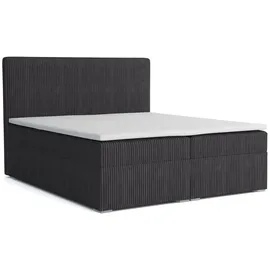 Deine Möbel 24 Boxspringbett LOFT IV 200 x 200 cm H4 Grau