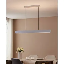 EGLO Andreas-Z 1-flg. 117 cm grau Stahl