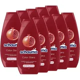 Schauma Schwarzkopf Farbschutz-Shampoo Color Glanz (10x 400 ml), Haarshampoo pflegt coloriertes, getöntes oder gesträhntes Haar, Color Shampoo mit Granatapfel-Extrakt