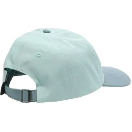 Patagonia Fitz Roy Icon Trad Cap türkis One Size