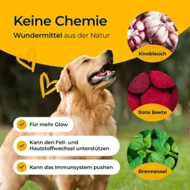 hundpur® Hundpur Haut & Fell 300 g