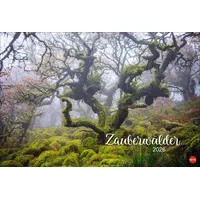 Heye Zauberwälder Edition Kalender 2026