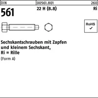 Reyher Sechskantschraube DIN 561 Zapfen AM 24x 80 22