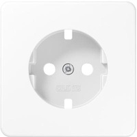Jung CD1520PLWW Zentralplatte für SCHUKO