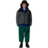 The North Face Kinder Boys Reversible Shasta Hoodie Jacke (Größe 110, schwarz)