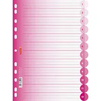 Brunnen 106659526 Ringbuchregister Colour Code (für Ordner und Ringbücher,