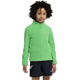Jack Wolfskin Taunus 100 Green 152
