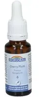 BIOFLORAL 06 - Cherry Plum Prunus 20 ml Goutte(S)