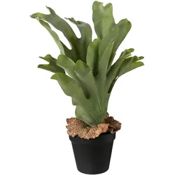 Künstliche Zimmerpflanze CREATIV GREEN, grün, H:37cm, Kunststoff, Kunstpflanzen