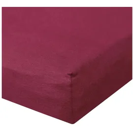 BettwarenShop Spannbettlaken Baumwolle-Jersey-Elasthan 120 x 200 - 130 x 220 cm rot