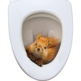 HUNYA 3D Eichhörnchen Toilettensitz Aufkleber, Wasserabweisender Toilettendeckel Aufkleber, Eichhörnchen Aufkleber für Toilettendeckel, WC Deckel Aufkleber für Badezimmer 20 X 25 cm