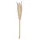 Atmosphera - Set Aus 6 Trockenblumen Pampa Naturelle H. 65 Cm Créateur D'Intérieur