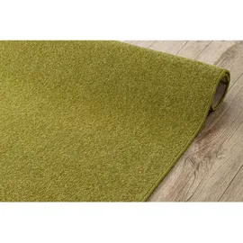 RugsX Teppich, Teppichboden Eton Grün Green 300x400 cm,