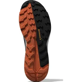 adidas Terrex Free Hiker 2.0 GTX Carbon/Grey Six/Core Black 46