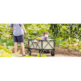 LiTHELi Bollerwagen W1 Pro grün