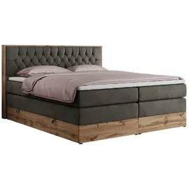 MKS Meble Boxspringbett Amore King 160/200 Dunkelgrau Velvet - H3