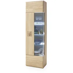 Vitrine BOLOGNA