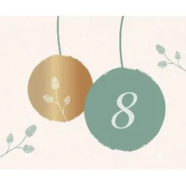 Brunnen Verlag Gießen Adventskalender JOY 2023 Lindgrün