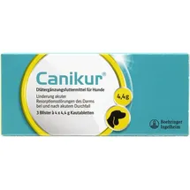 Boehringer Ingelheim Canikur Kautabletten 3 x 4 St.