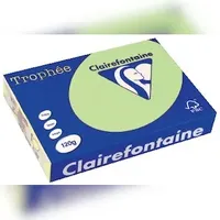 Clairefontaine Trophée A4 120 g/m2 250 Blatt hellgrün
