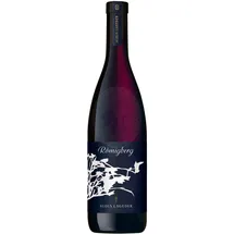 Weingut Alois Lageder Römigberg Vernatsch IGT 2023 0,75 l