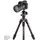 Manfrotto Befree GT Carbon Twist für Sony Alpha