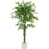 ML-Design Kunstpflanze Ficus 150 cm, mit Naturholzstamm