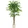 ML-Design Kunstpflanze Ficus 150 cm, mit Naturholzstamm