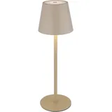 GLOBO Vannie Khaki