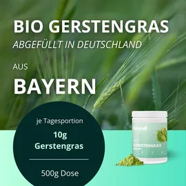 Brandl Gerstengras Bio Pulver 1000 g