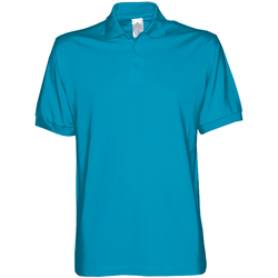 B&C Safran Polo, atoll, XL