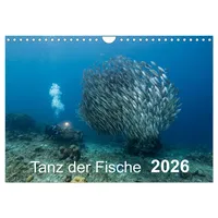 Calvendo Tanz der Fische (Wandkalender 2026 DIN A4 quer),