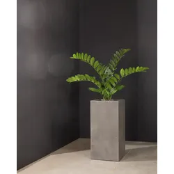 Glücksfeder Zamioculcas Kunstpflanze violett 60 cm