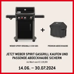 Weber Gasgrill SPIRIT E-330 Original