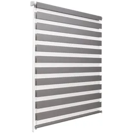 Sol Royal Doppelrollo SolDecor DL2 85 x 150 cm grau
