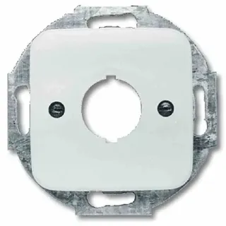 Busch-Jaeger Zentralscheibe aws 19mm Befehlsgeräte 2534-214