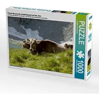 Calvendo Tiroler Braunvieh wiederkäuend auf der ALM Puzzle
