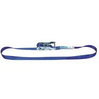 Dolezych Zurrgurt DIN EN 12195-2 L.6m B.25mm m.Ratsche LC