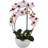 Creativ green Kunstpflanze »Phalaenopsis«, rosa