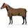 Equinate Regendecke Springfield 125 cm Braun/Bronze