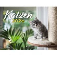 HEEL VERLAG Kalender Katzen 2026 Eintragkalender
