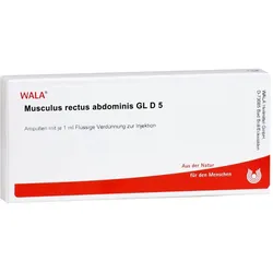 Musculus Rectus abdominis Gl D 5 Ampullen