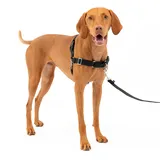 PetSafe Easy Walk M Schwarz