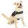 Kurgo RSG Townie Hundegeschirr schwarz S
