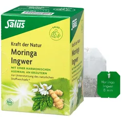 Moringa Ingwer Kräutertee Kraft der Natur Salus