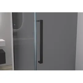 Bernstein Eckdusche DX906 FLEX Schiebetür Soft-Close 8mm Nano Echtglas Schwarz matt 80x160cm