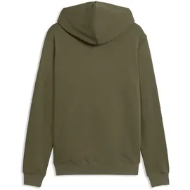 Puma Hoodie Loden Green S