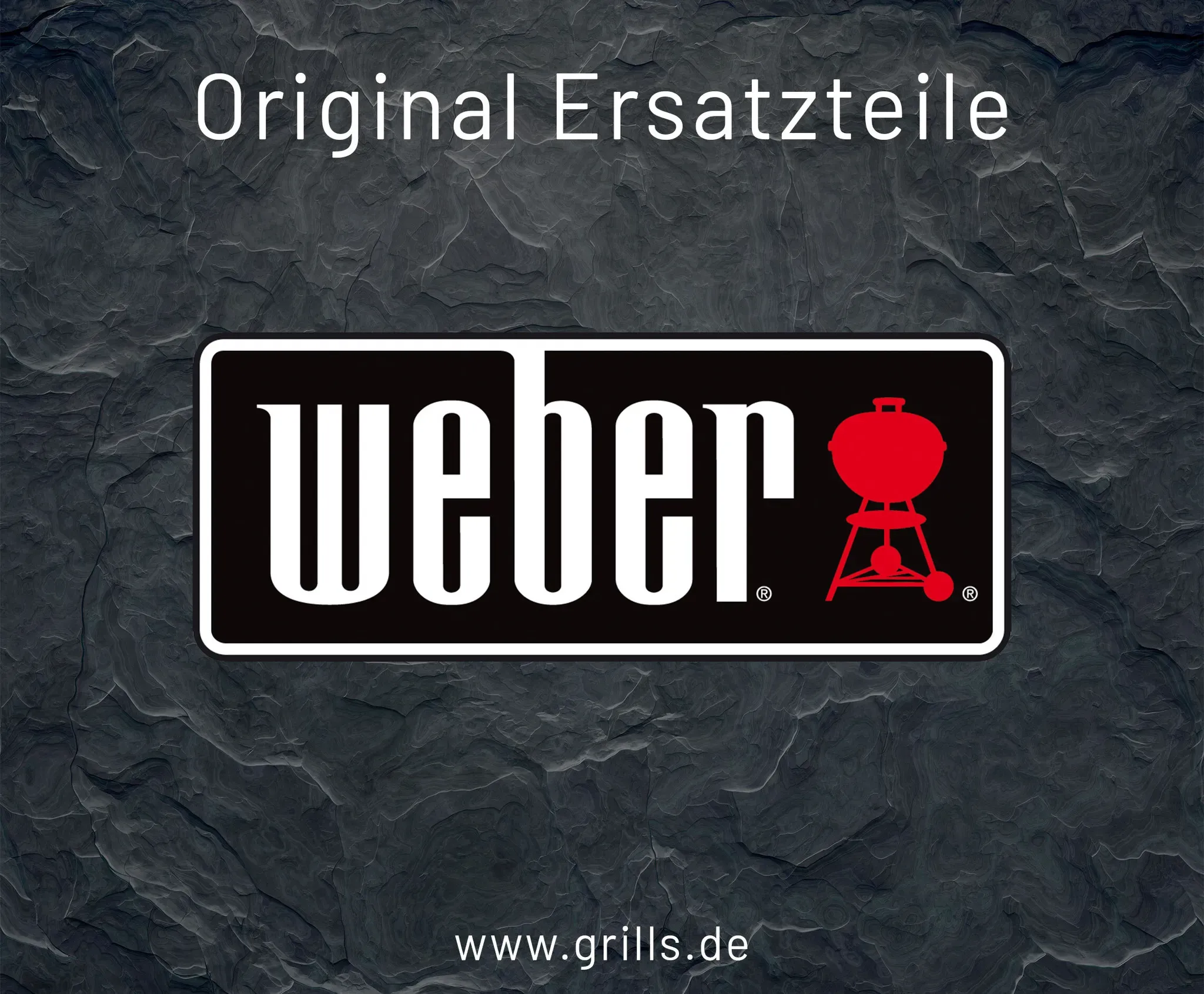 Weber CTN With LBL Q 1000 With Stand Blk 15 (65647)