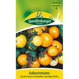 Quedlinburger Balkontomate ''Balconi Yellow''